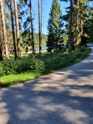 Talsperre Lütsche - Ausgebrannter Stein - Oberhof