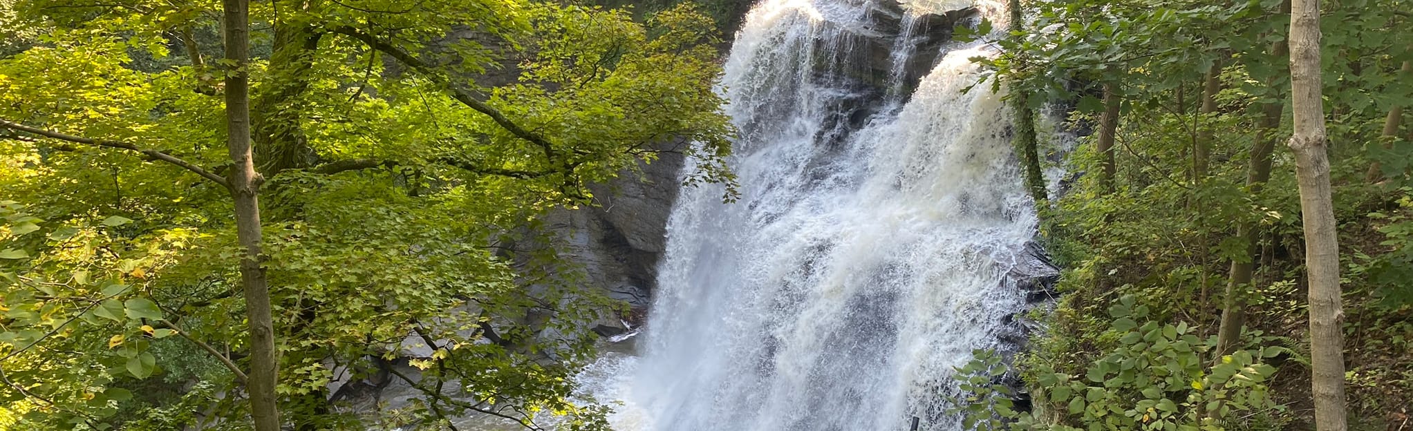 Brandywine Falls Loop, Ohio 571 Reviews, Map AllTrails