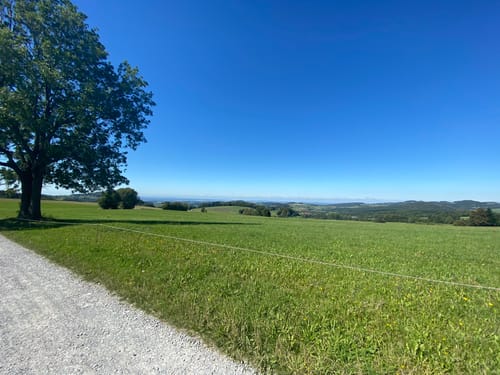 Rhön-Rundweg 18: Guckaisee