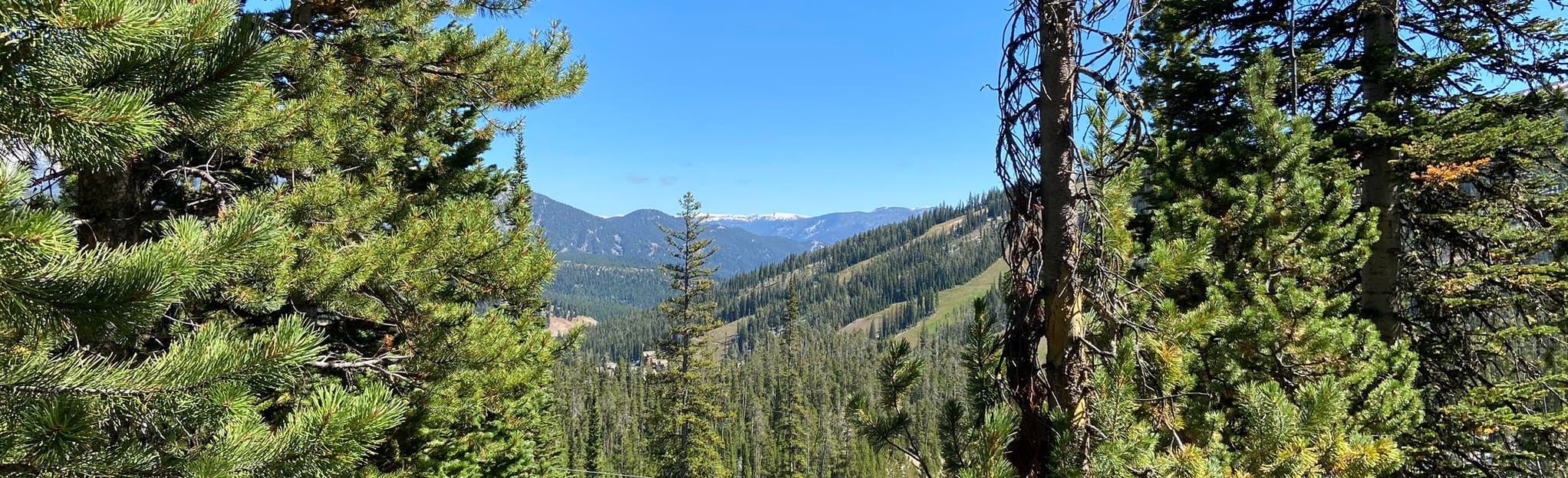 Huckleberry Trail from the Eplorer - EyJidWNrZXQiOiJhc3NldHMuYWxsdHJhaWxzLmNvbSIsImtleSI6InVwbG9hZHMvcGhvdG8vaW1hZ2UvMjk0MDk3NzgvMDI1NGFhMGQzZDU5MTAzMWFmZTgwMTYxMTU5MGViNzEuanBnIiwiZWRpdHMiOnsidG9Gb3JtYXQiOiJqcGVnIiwicmVzaXplIjp7IndpZHRoIjoyMDQ0LCJoZWlnaHQiOjYyNCwiZml0IjoiY292ZXIifSwicm90YXRlIjpudWxsLCJqcGVnIjp7InRyZWxsaXNRdWFudGlzYXRpb24iOnRydWUsIm92ZXJzaG9vdERlcmluZ2luZyI6dHJ1ZSwib3B0aW1pc2VTY2FucyI6dHJ1ZSwicXVhbnRpc2F0aW9uVGFibGUiOjN9fX0=