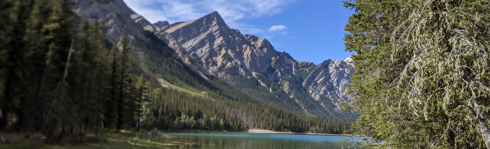 Rocky River trail 0 Reviews, Map Alberta, Canada AllTrails