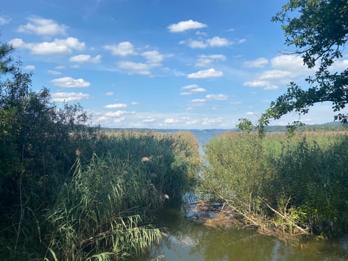 Simssee Rundweg