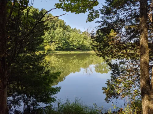 10 Best Hikes and Trails in Ferne Clyffe State Park | AllTrails