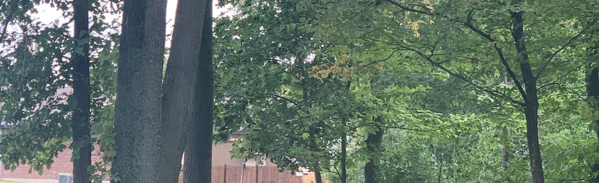 Memorial Park Trails Picnic Area Loop Wisconsin AllTrails