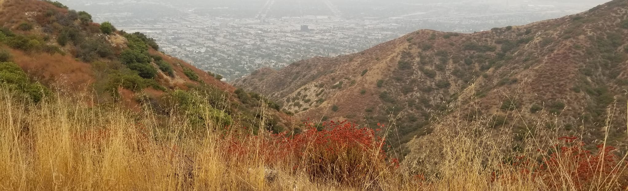 Los Angeles River West Bank Trail, California 674 Reviews, Map AllTrails