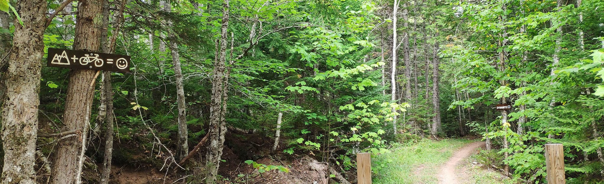 Hillsborough Forest Outer Perimeter, New Brunswick, Canada 109