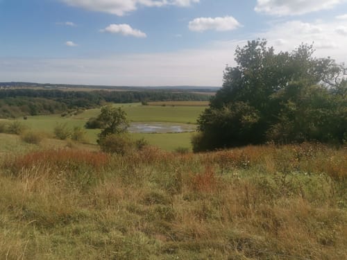 HeimatSpur Lavaweg