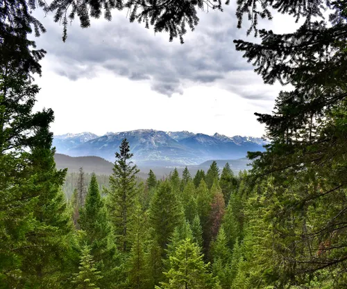 Best 10 Hiking Trails In Jasper National Park Alltrails 9416