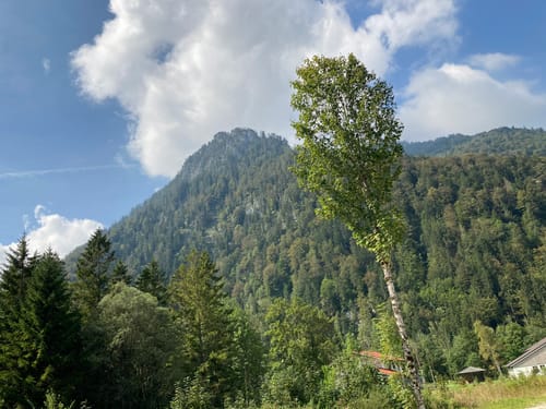Staubfall Heutal