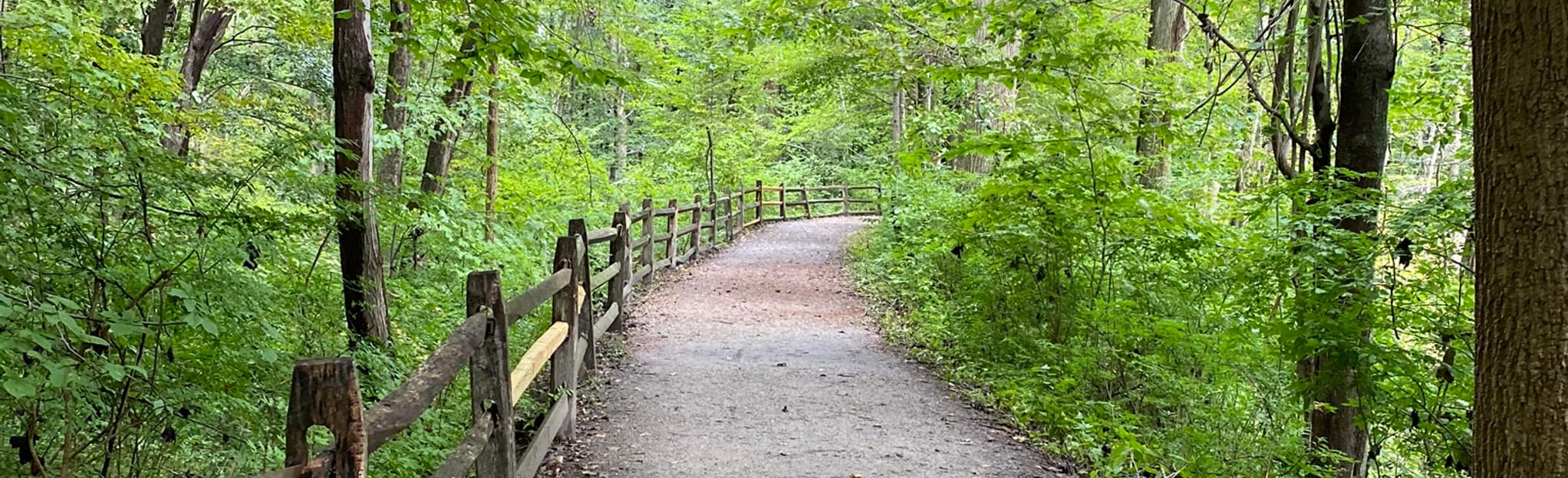 Silent Waters Loop via Shelton Lakes Recreation Path: 202 Reviews, Map ...