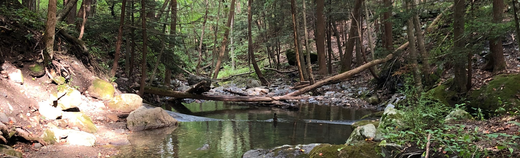 Slateford Creek Falls (Lower Waterfalls) [GESPERRT] Pennsylvania