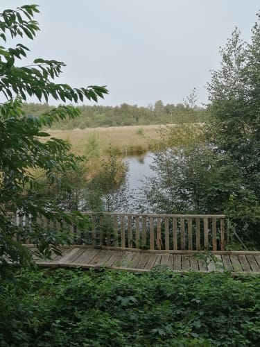 MoorInfoPfad Esterwegen