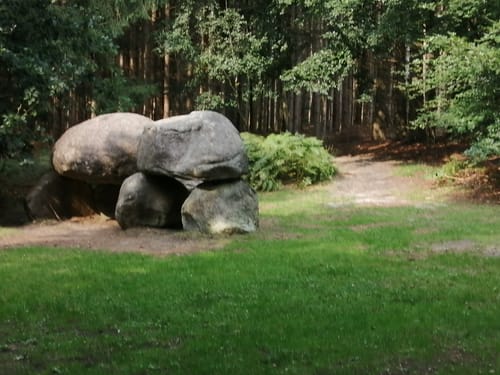 Erlebniswald Surwold