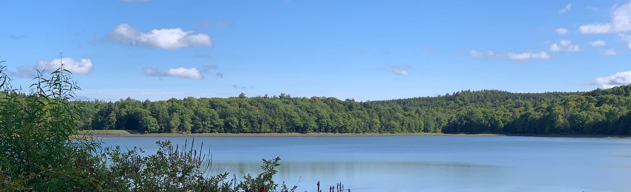 Ordway Trail 3 Reviews, Map New York AllTrails