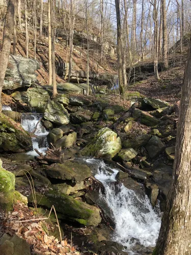 10 Best Trails and Hikes in Sewanee | AllTrails