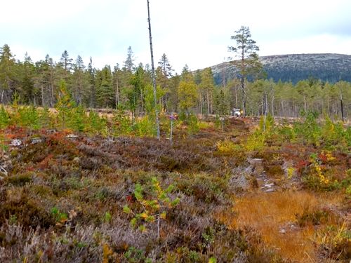 2023 Best Long Trails in Skarsåsen nature reserve | AllTrails