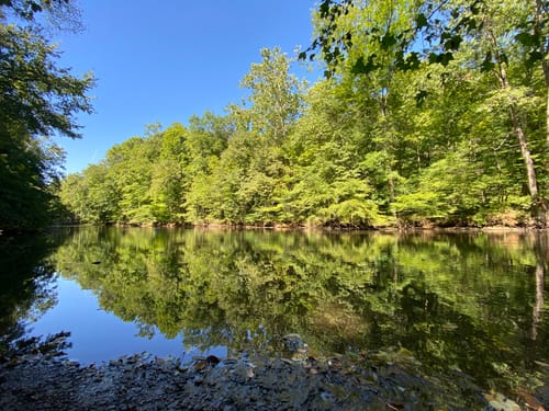 Mohican State Park Hiking Best 10 Trails In Mohican State Park | Alltrails