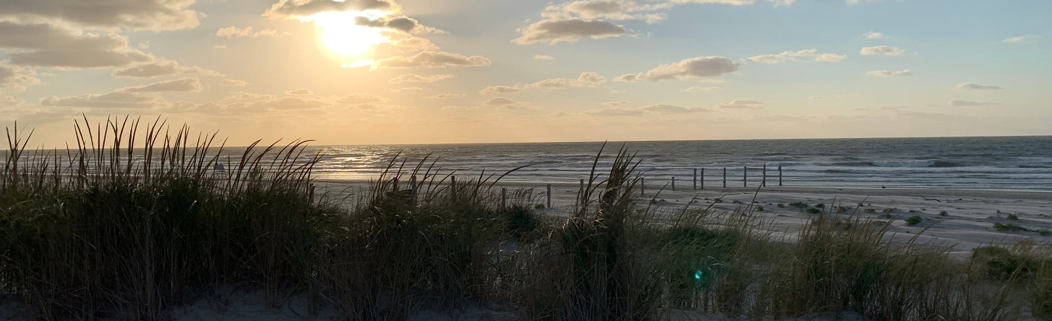Cape May Dune Trail 26 Reviews, Map New Jersey AllTrails