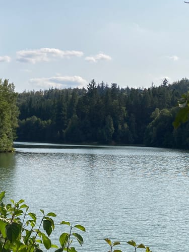 Herrenbachtal Weg