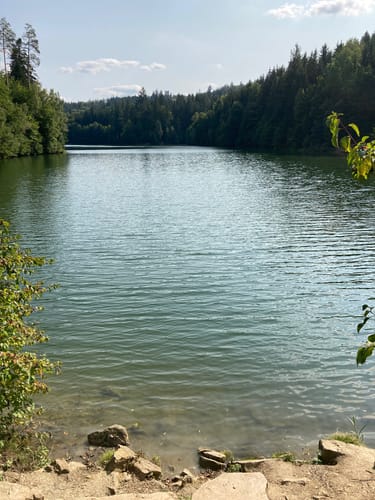 Zum Schurwald
