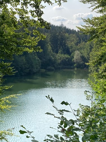 Herrenbachtal Weg