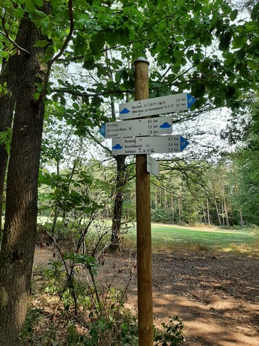 Die Otterbacher Runde