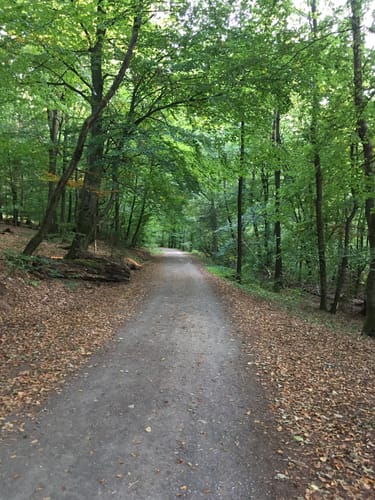 Härtelwald