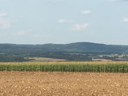 Weiher - Tauchersreuth - Frohnhof