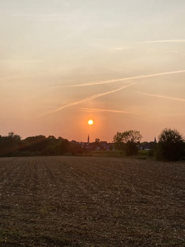 Heininger Drei-Königs-Lauf 2020