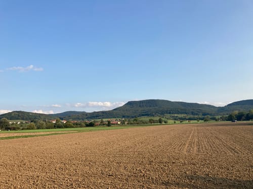 Heininger Drei-Königs-Lauf 2020