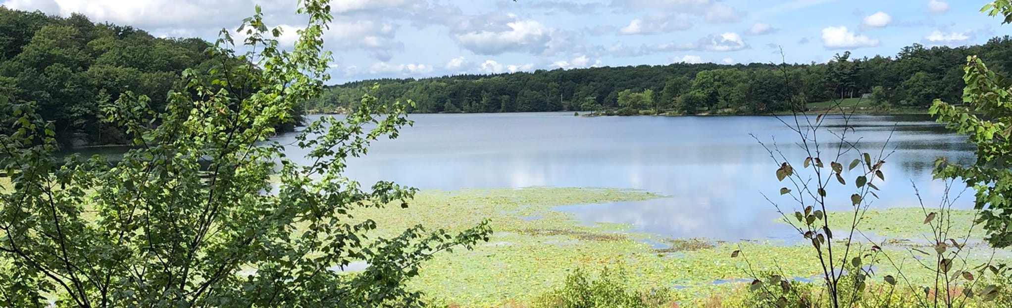 Lake Taghkanic State Park Lake Trail, 162 Fotos New York AllTrails