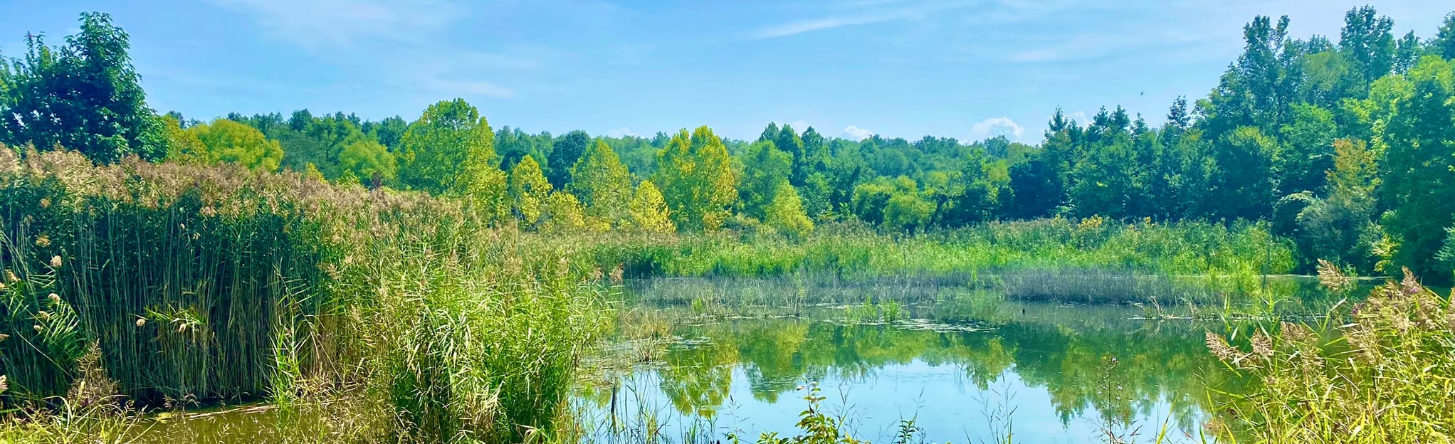 Muhlenberg County Rail Trail, Kentucky 65 Reviews, Map AllTrails