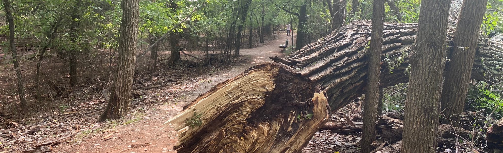 Martin Nature Park Meadow Trail Map, Guide Oklahoma AllTrails