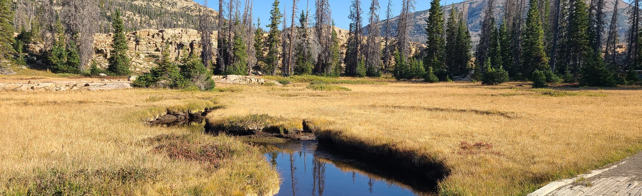 Duck Lake Trail 195 Reviews, Map Utah AllTrails