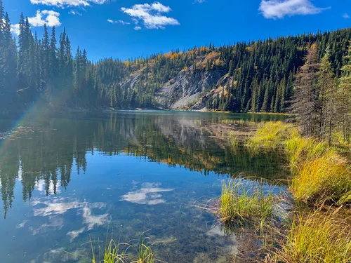 Denali ranger led outlet hikes