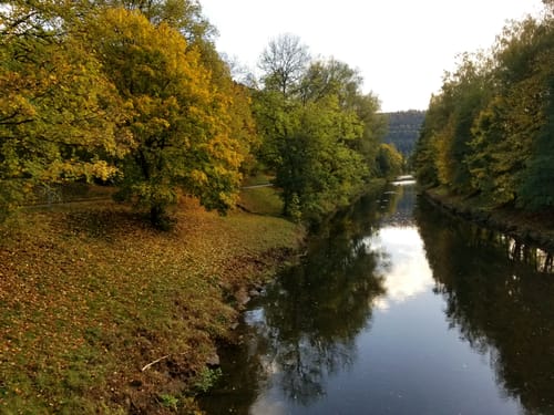Wildes Monbachtal