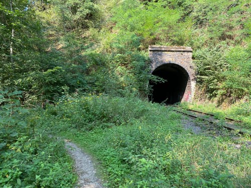 Rundweg RB1 (Ransbach)