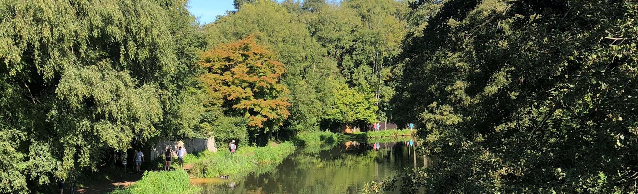 Shalford Park, North Downs and Loseley Park Circular 544 foto's