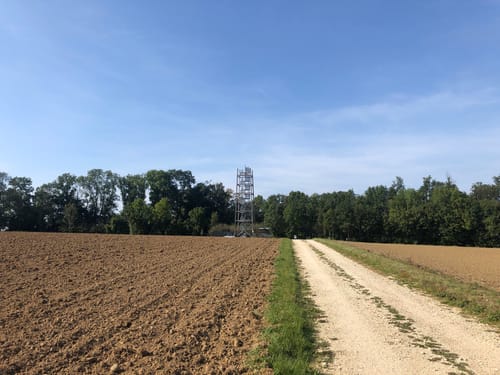 An der Donau von Günzburg nach Dillingen