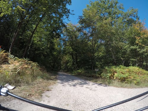 Karlsruhe - Bienwald - Radtour