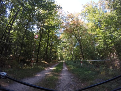 Karlsruhe - Bienwald - Radtour