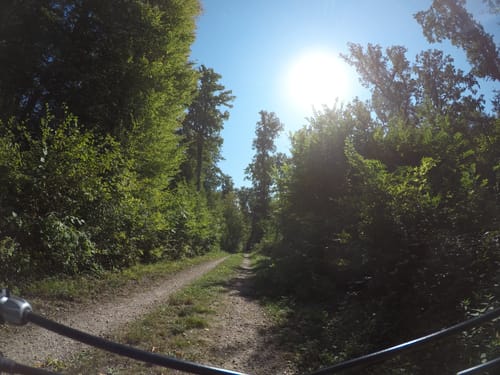 Karlsruhe - Bienwald - Radtour