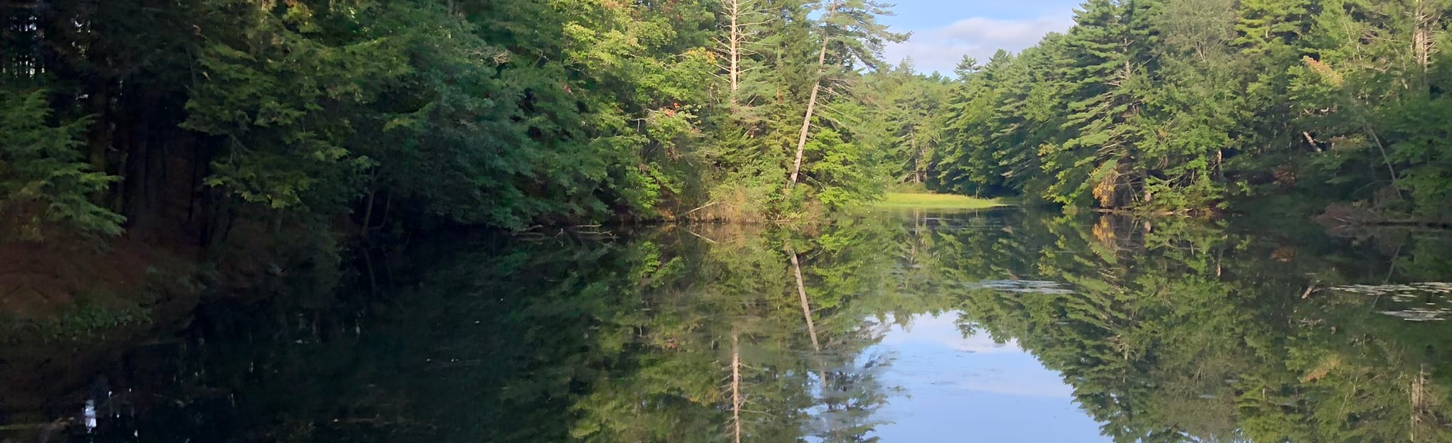 Greater Commons Trail via Pickard Fields 40 Reviews, 44 Photos, Map