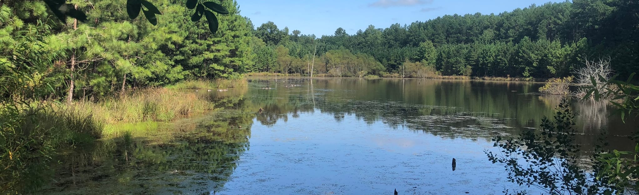 Wormhole and Pumpkin Loop Trails, North Carolina 383 Reviews, Map