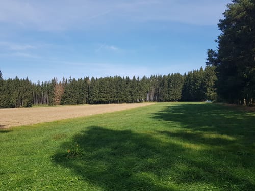 Zeitelmoos und Burgstall Schlosshügel ab Röslau