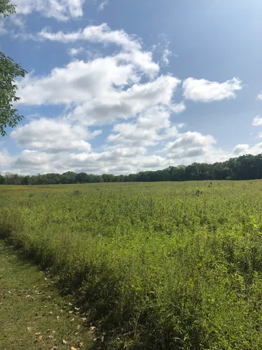 Best Hikes and Trails in Marengo Ridge Conservation Area  AllTrails