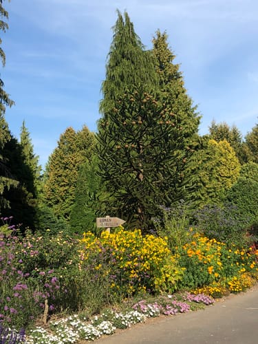 Neuer Botanischer Garten Marburg