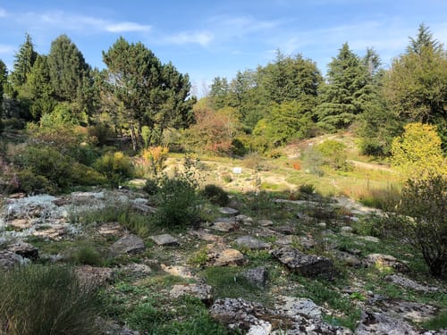 Neuer Botanischer Garten Marburg