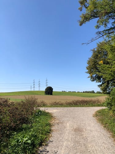 Pfahlhofwald