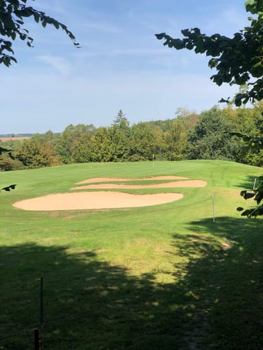 Pfahlhofwald